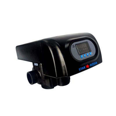 Valva RX75 - 2 " - Sediment/Carbune Activ